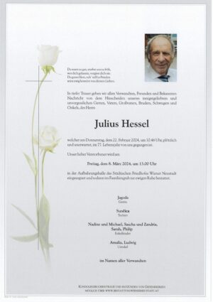 Portrait von Julius Hessel