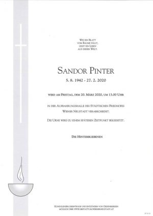 Portrait von Sandor Pinter
