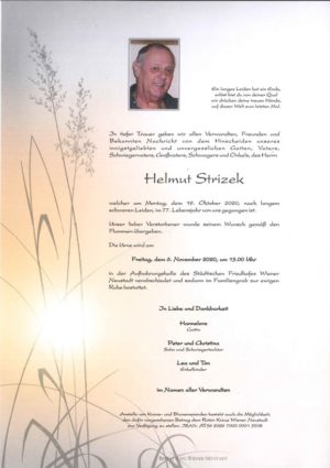 Portrait von Helmut Strizek
